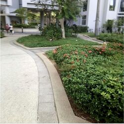 The Bayshore (D16), Condominium #483428971